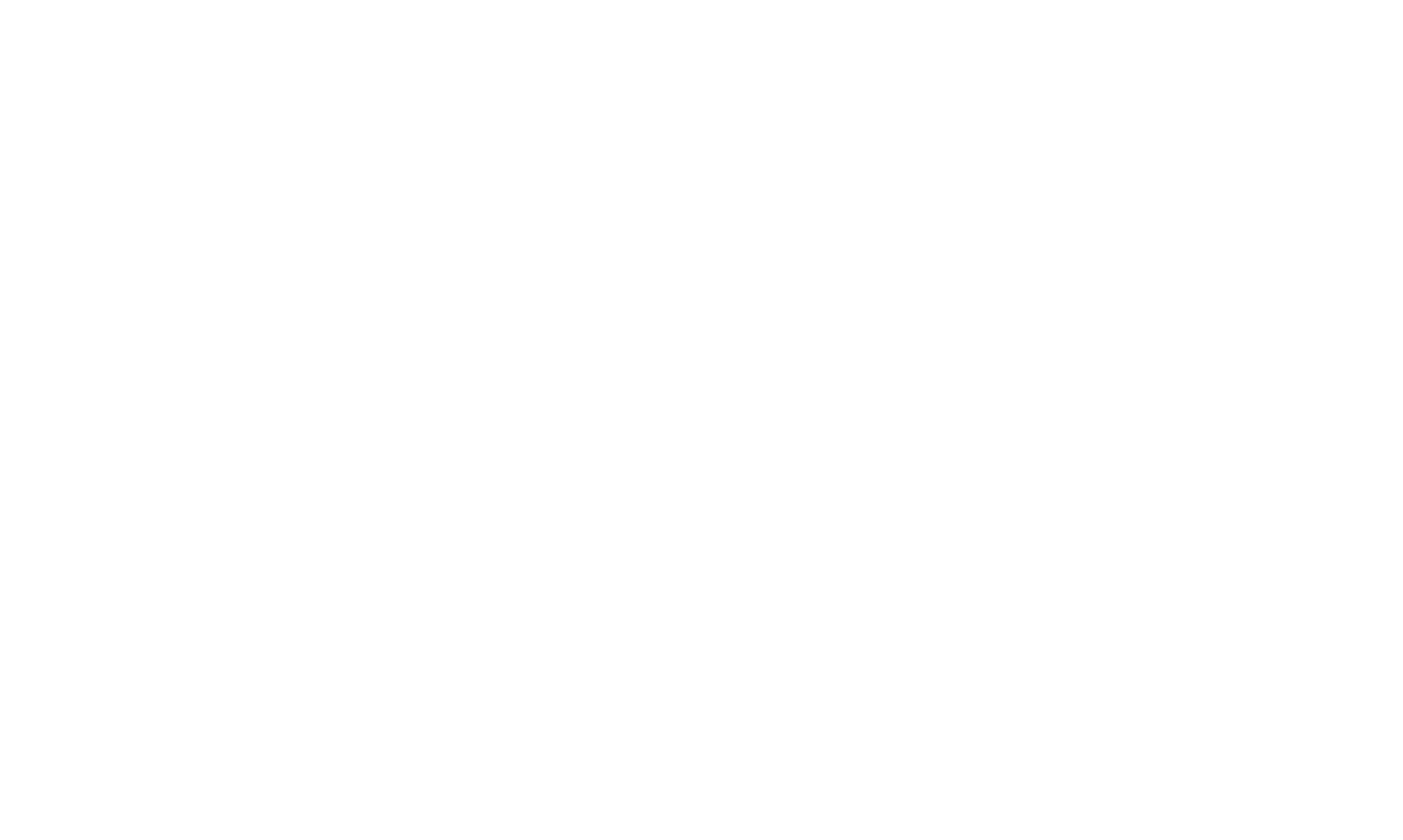 SPITI logo white-01